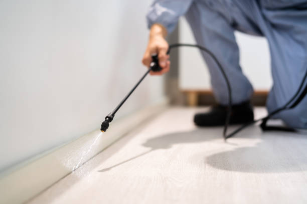 Licensed Rodent Control service in King County County, TX - Nex Pest Control