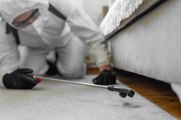 Professional Rodent Control technician working in King County County, TX